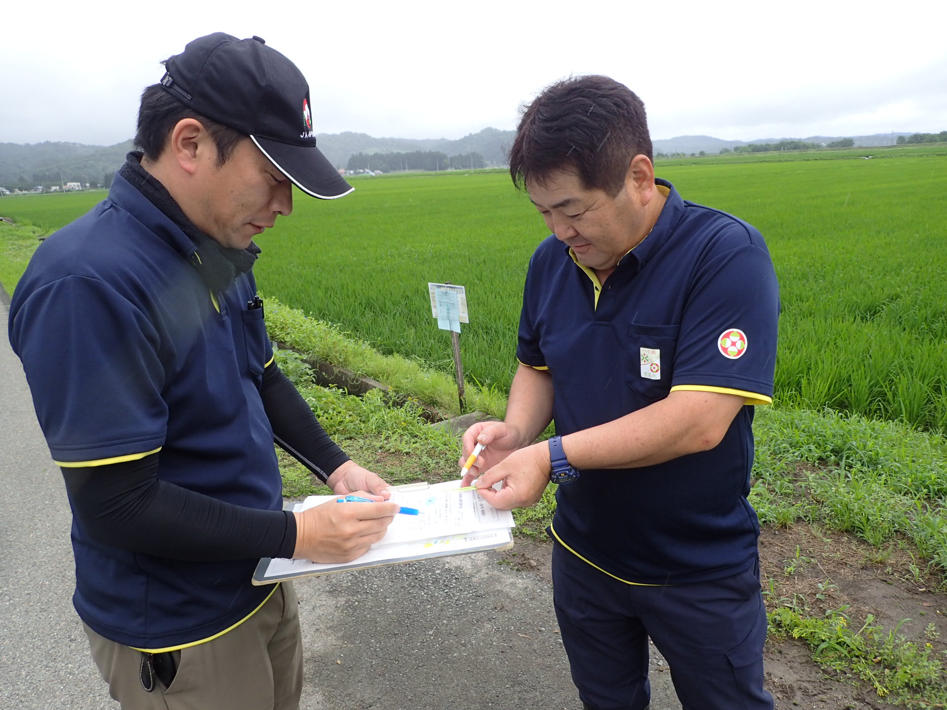 農協職員と出穂前日数を確認する土屋マイスター