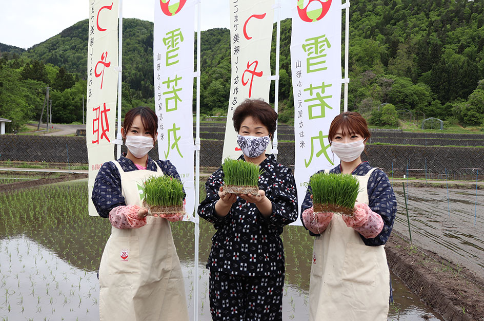 令和2年度の「つや姫」「雪若丸」の田植えを行いました