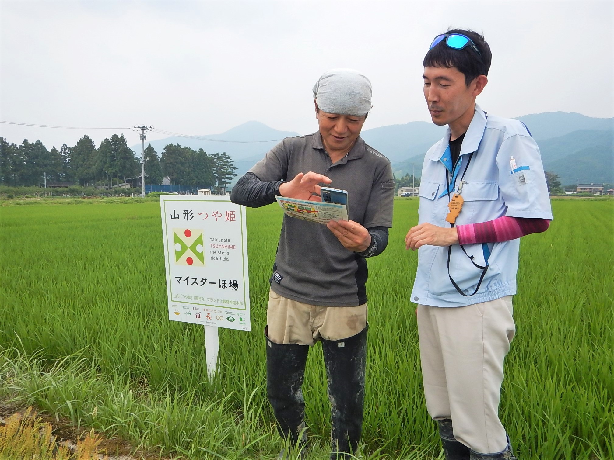 普及課職員と生育診断結果を確認する鈴木マイスター