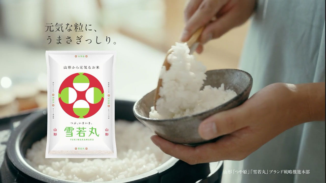 雪若丸CM 15秒