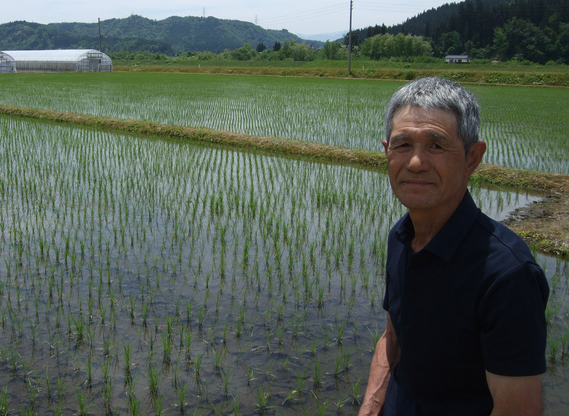 「つや姫の生育は順調」と語る八鍬修一マイスター