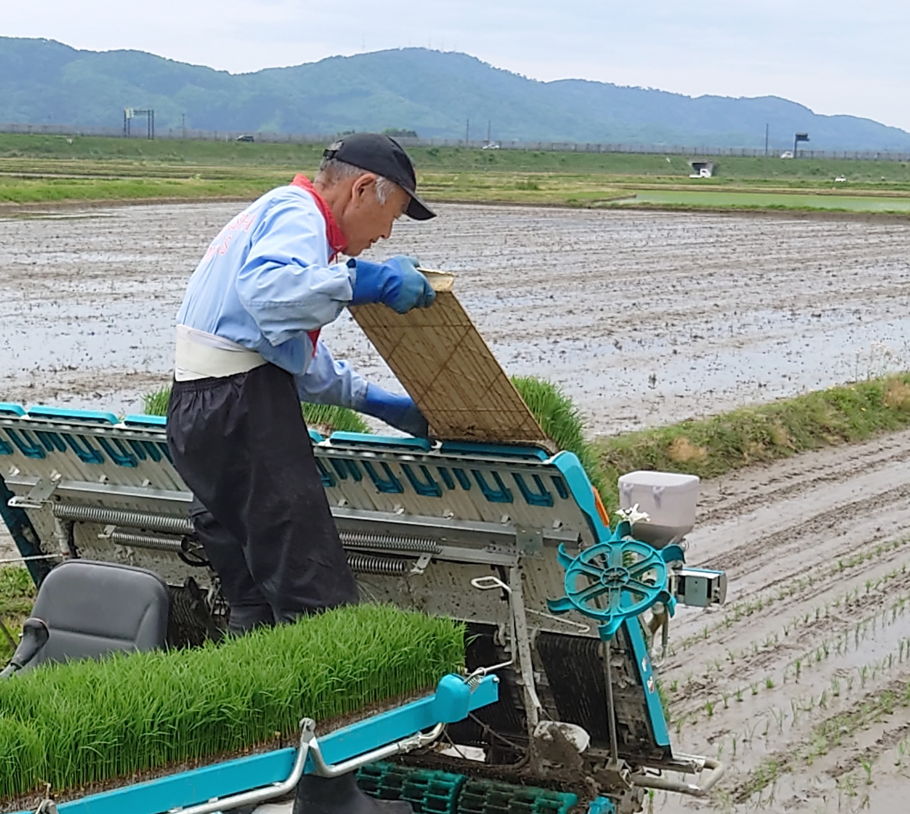 田植え機に苗をセットする加藤マイスター