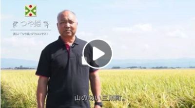庄内たがわ農業協同組合三川支所特別栽培米協議会