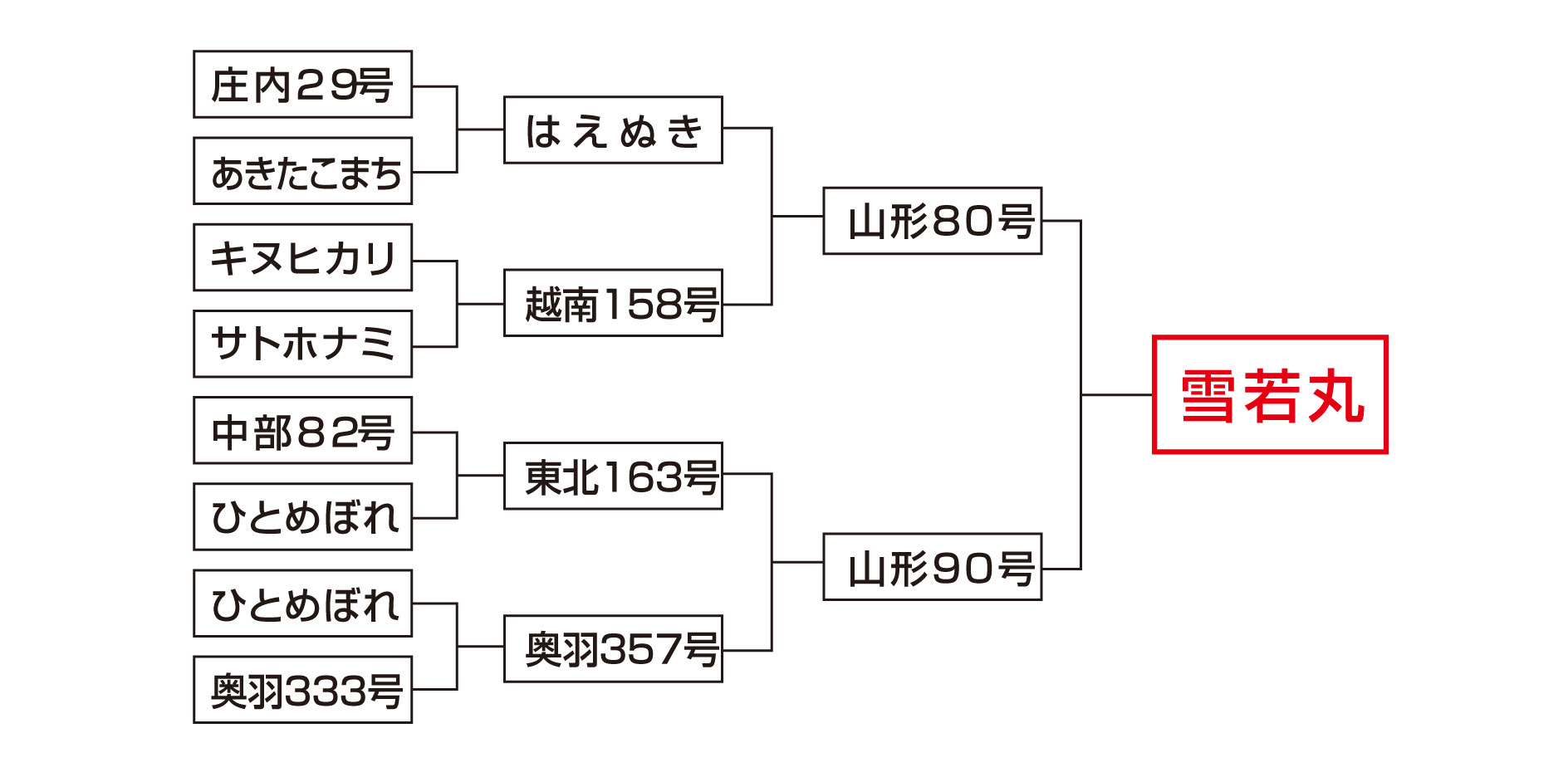 品種特性イメージ