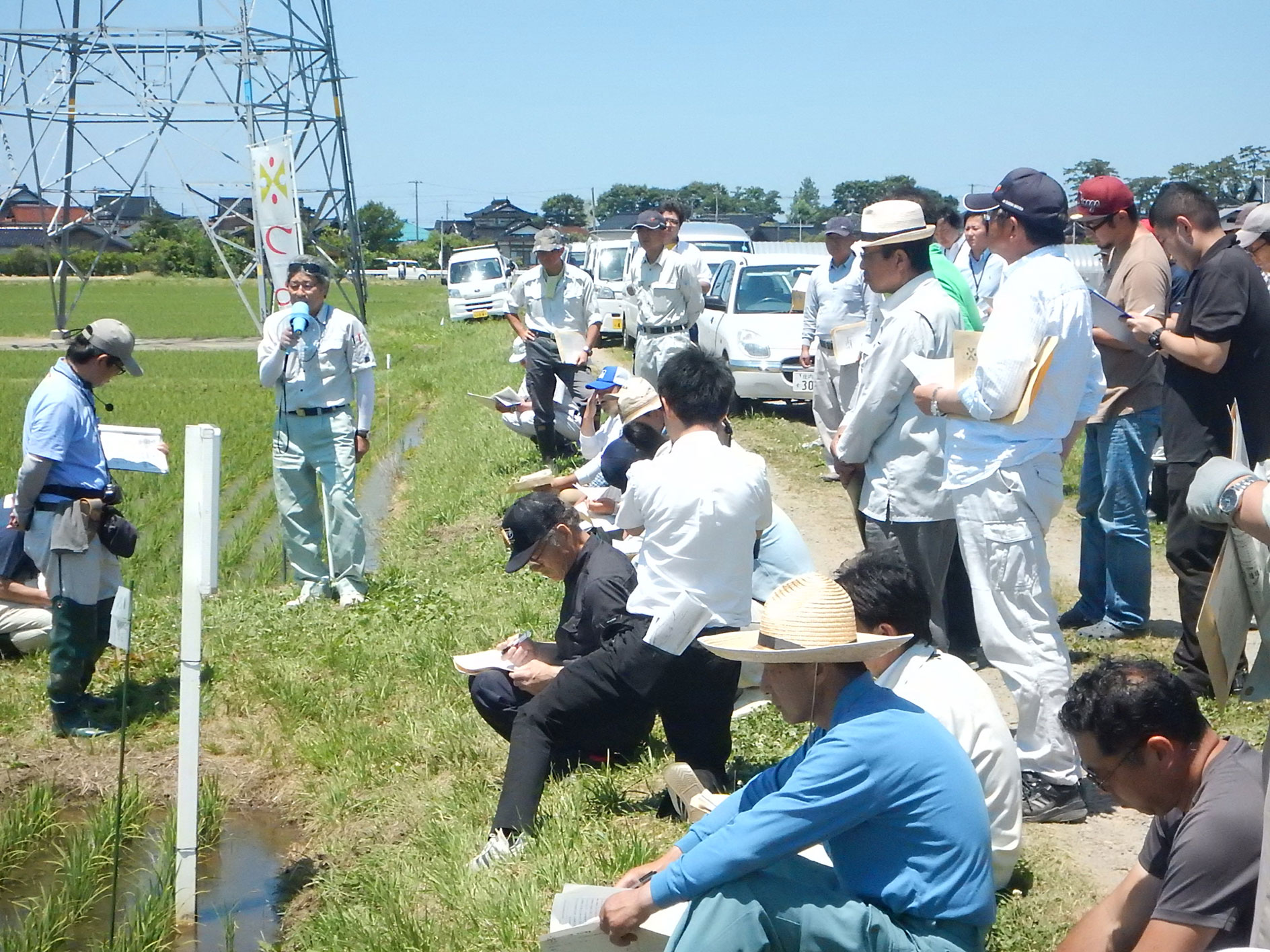 鈴木マイスターの「つや姫」ほ場で生育状況を確認（酒田市漆曽根）