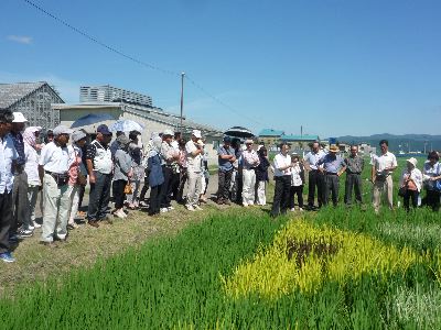 栽培技術の説明に熱心に耳を傾ける視察者