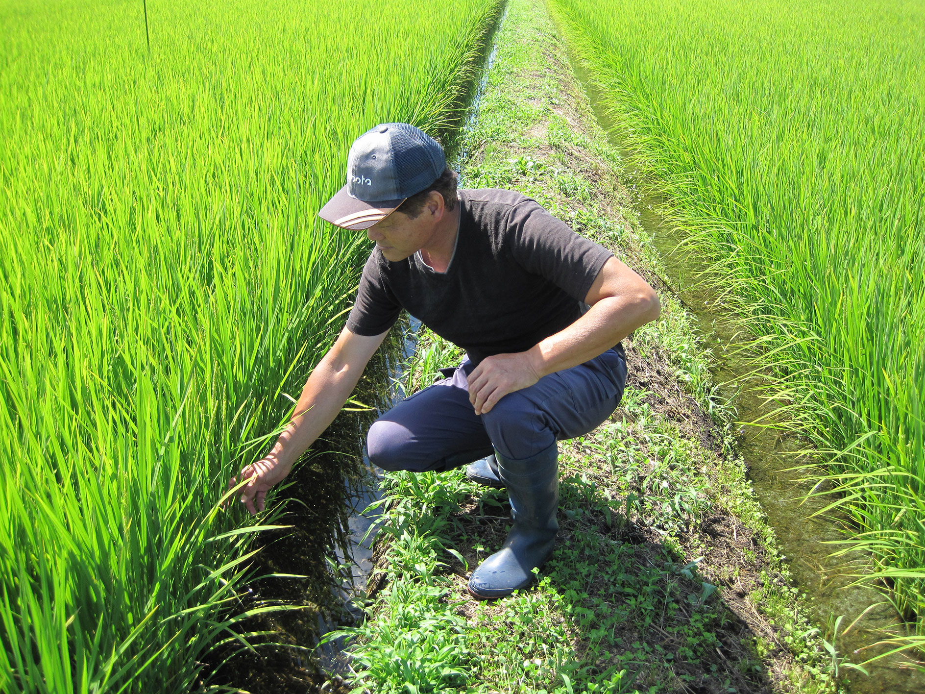 水の量を確認する増川マイスター