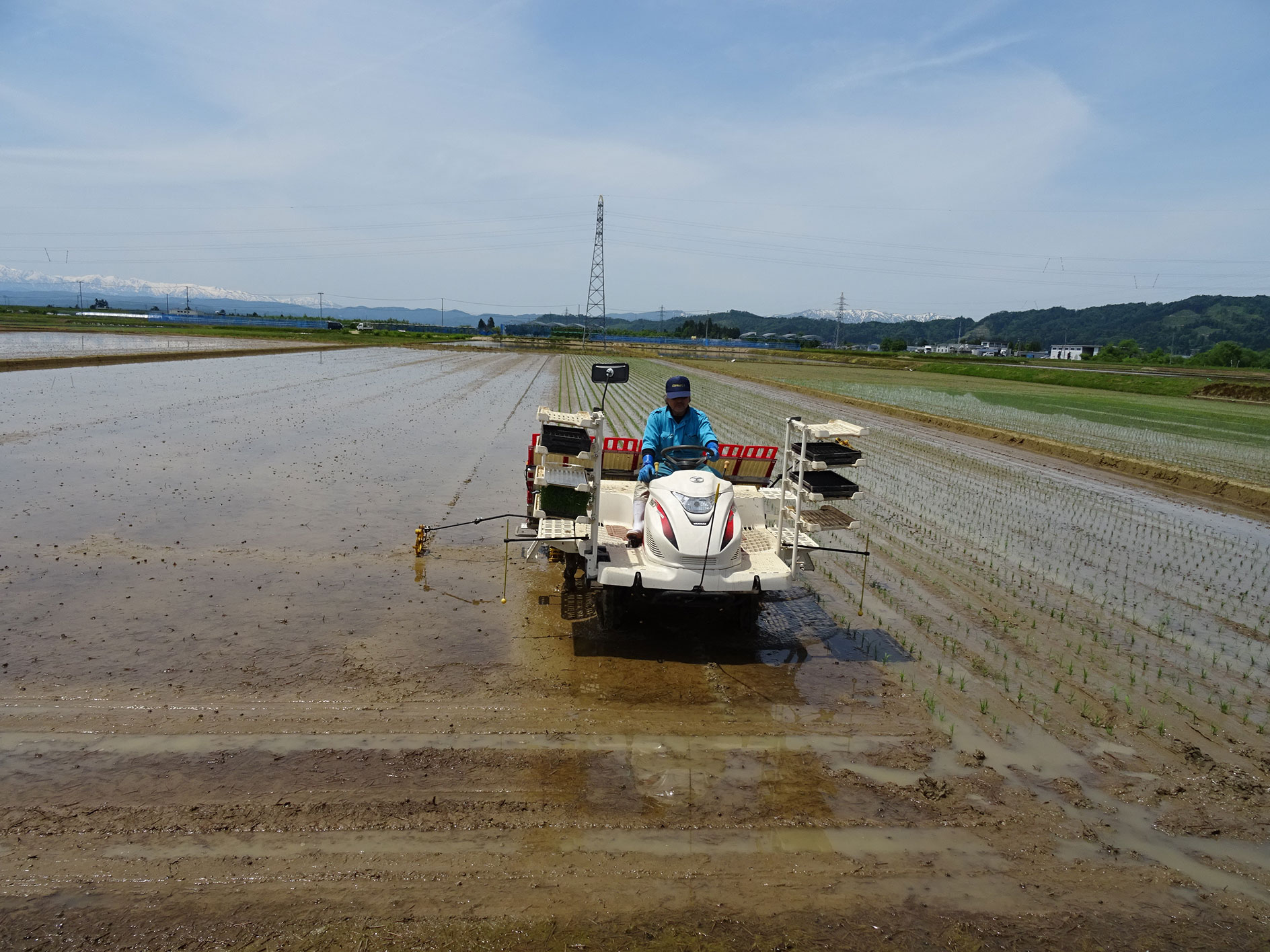 飯豊連峰を背景に「つや姫」の田植えを行う佐藤マイスター