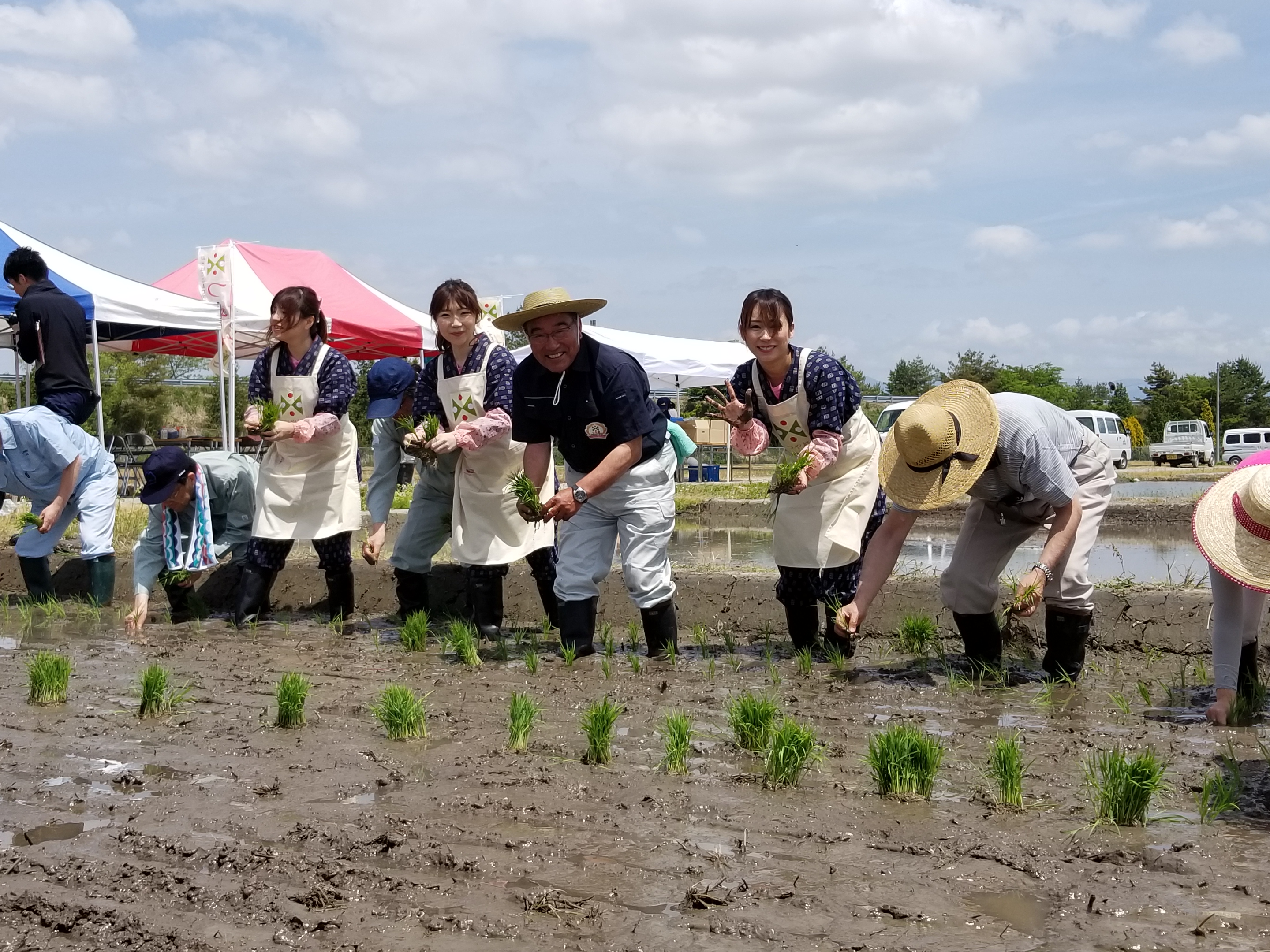 「つや姫」を田植えする土屋マイスター（中央）