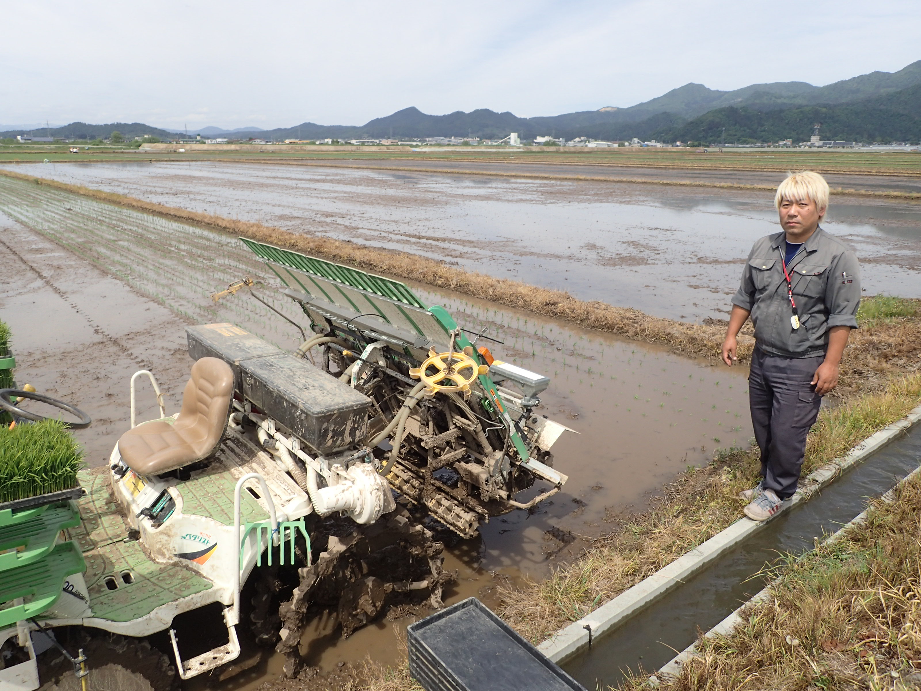 キリリと気を引き締めて田植えに臨む柴田マイスター