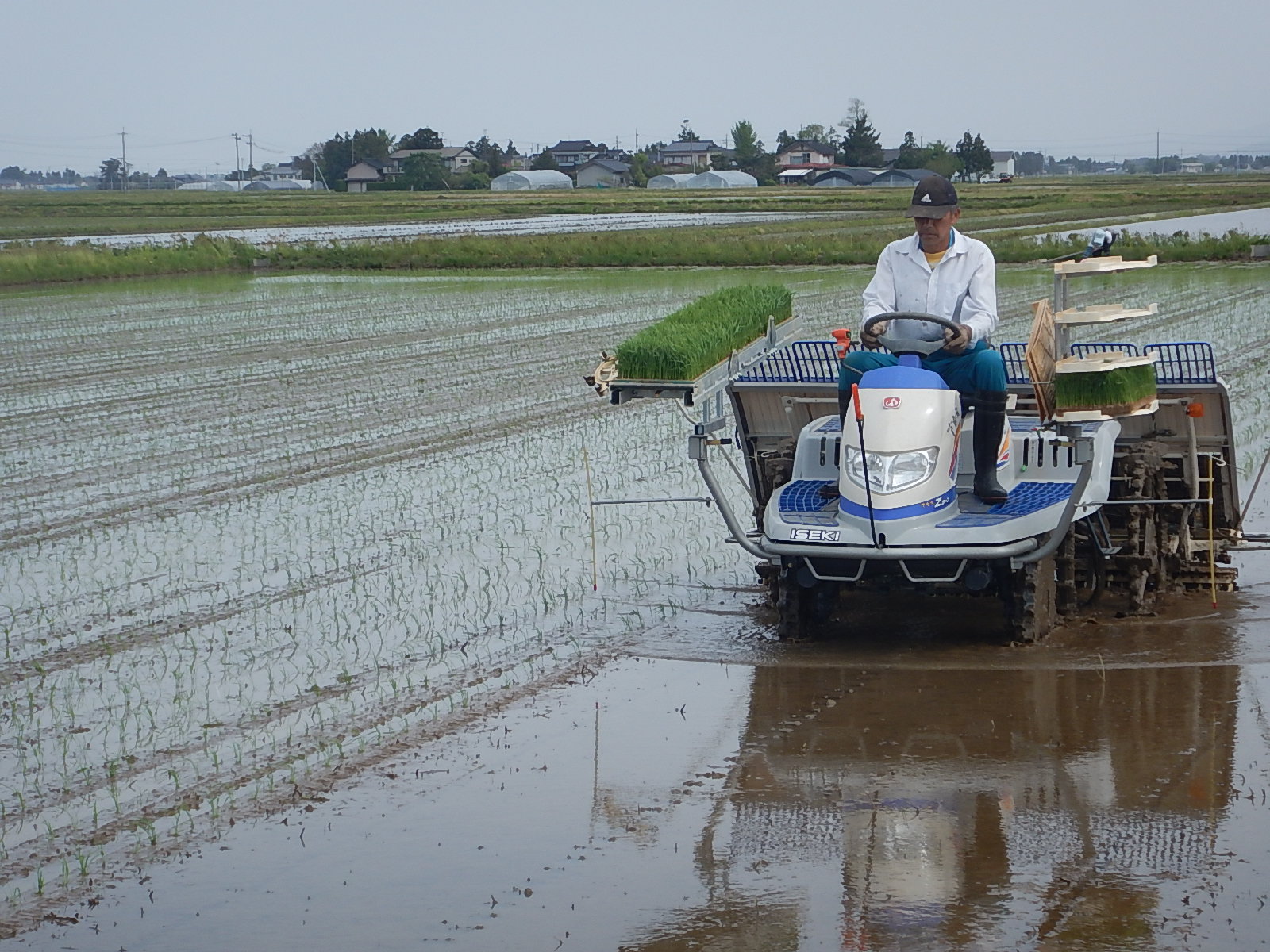 矢口マイスター田植機