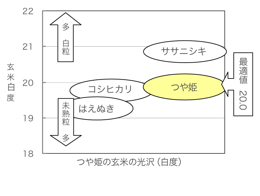 つや姫の玄米の光沢（白度）