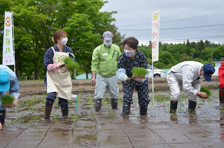 令和2年度の「つや姫」「雪若丸」の田植えを行いました