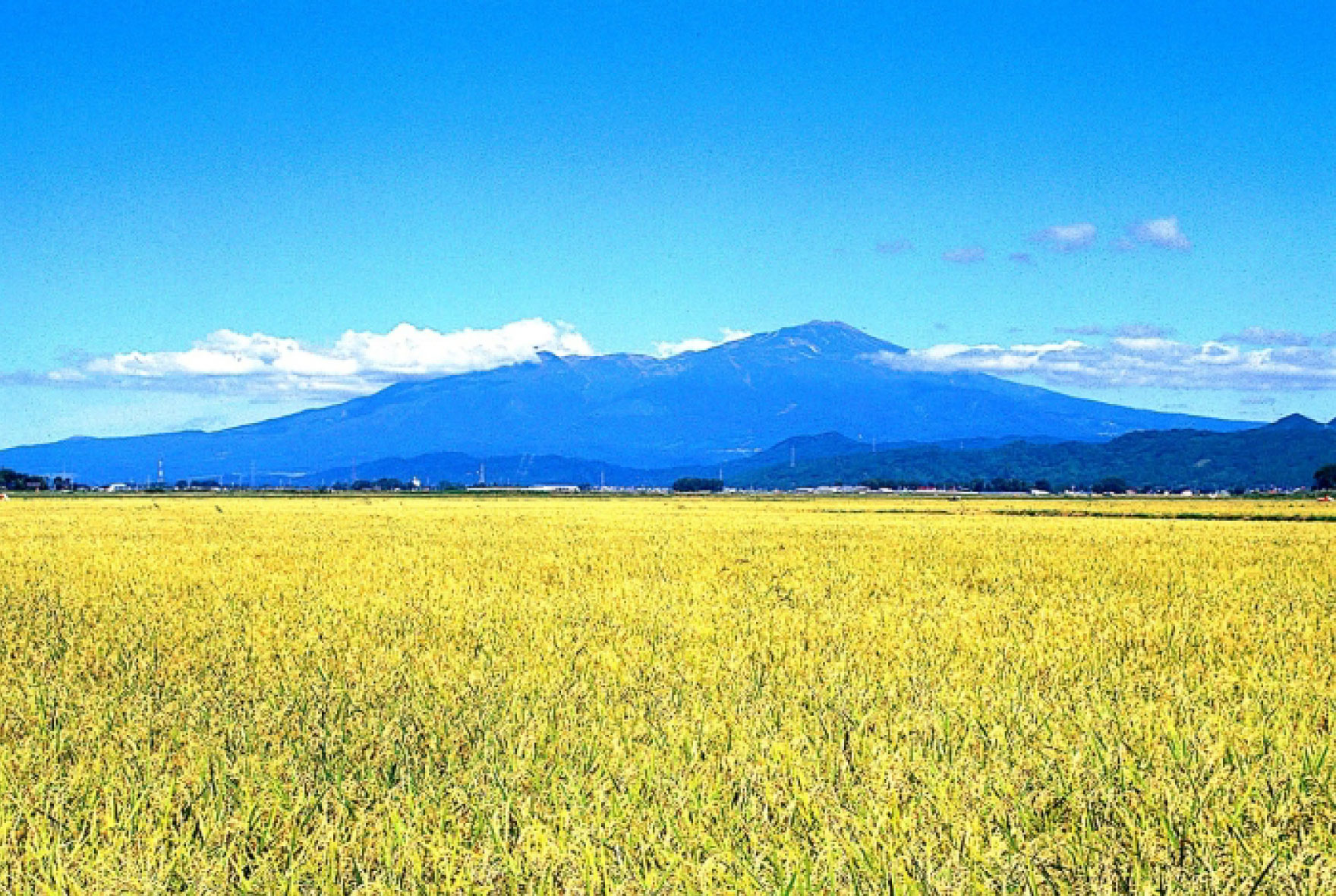 The Roots of “Tsuyahime”